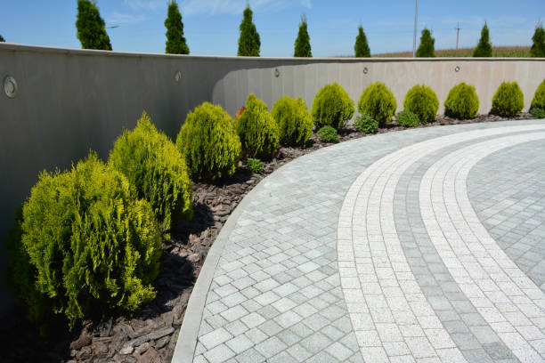 Best Brick Paver Driveways in Sam Rayburn, TX